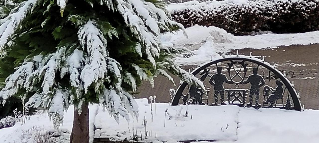 Fewo Harz Haennig 1 Wieda Екстериор снимка