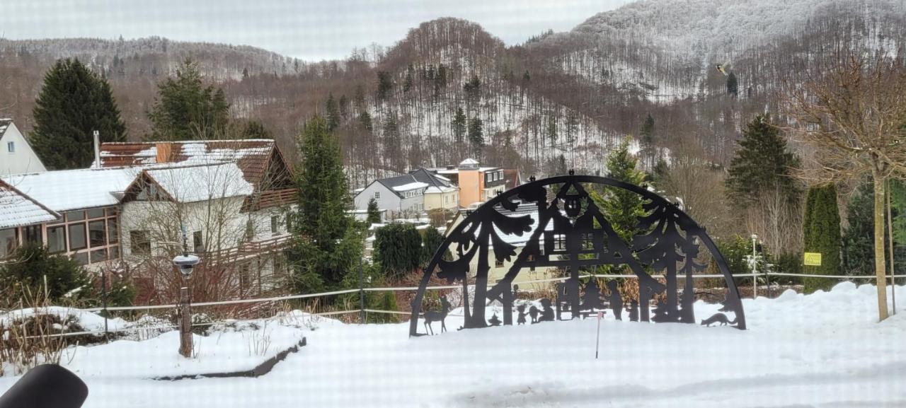 Fewo Harz Haennig 1 Wieda Екстериор снимка