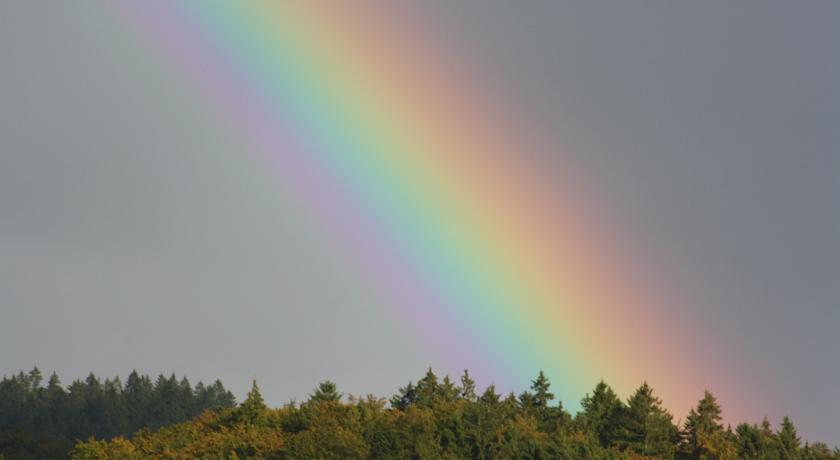 Fewo Harz Haennig 1 Wieda Стая снимка