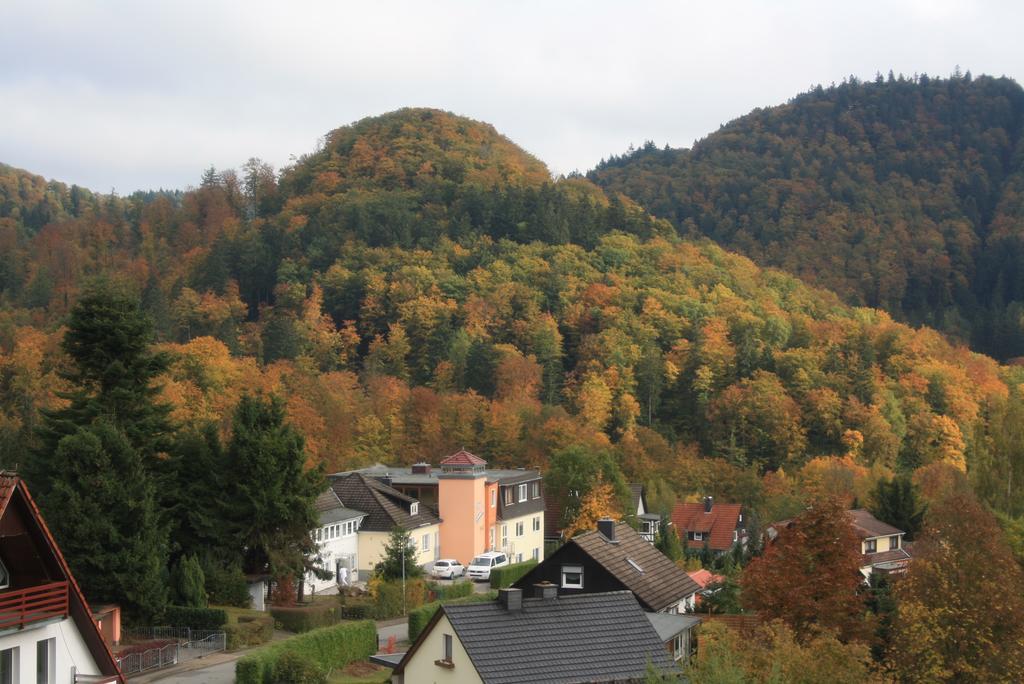 Fewo Harz Haennig 1 Wieda Екстериор снимка